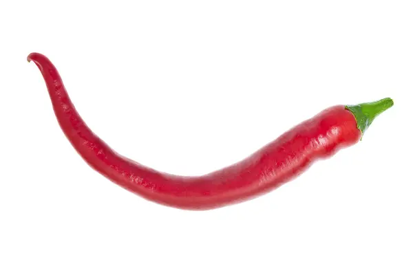 stock image Fresh colorful hot chili pepper on white