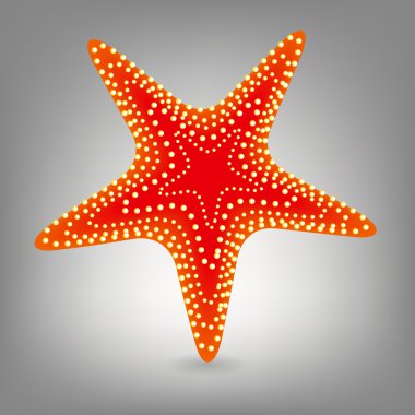 Starfishe icon illustration clipart