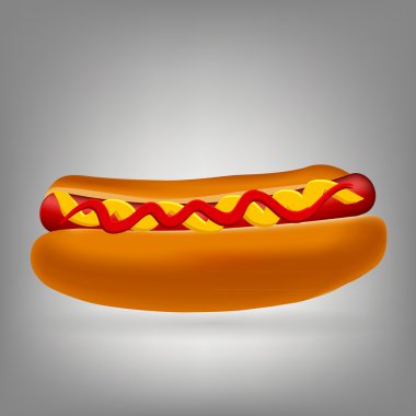 Realistic hot dog icon illustration
