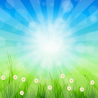 Summer Abstract Background with grass and tulips against sunny s clipart