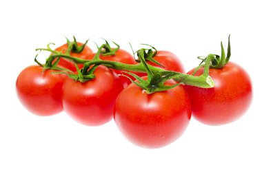 Beyaz arka planda izole edilmiş kiraz domatesleri dalı