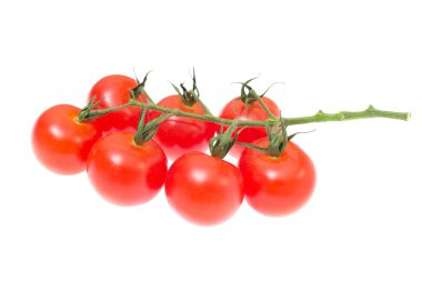 Beyaz arka planda izole edilmiş kiraz domatesleri dalı