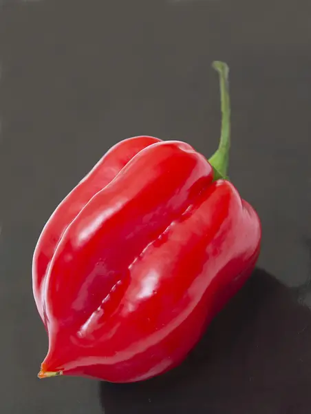 stock image Fresh colorful hot chili pepper on white