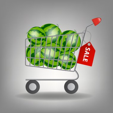  illustration of full supermarket shopping cart with wate