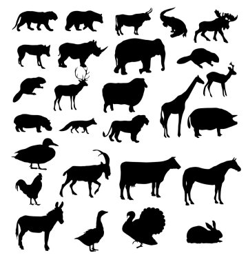  set of animals silhouette