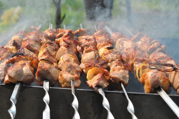 Los trozos jugosos de la carne con la cebolla preparan al fuego con el humo — Foto de Stock