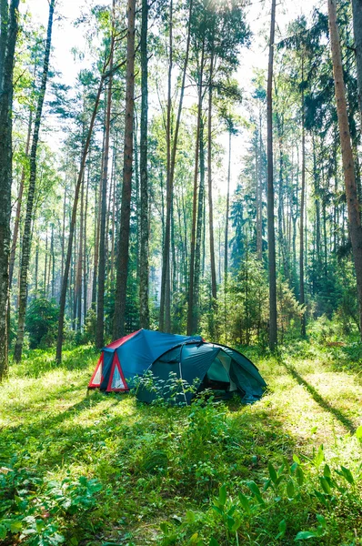 stock image Dawn in the tourist camping in the forest