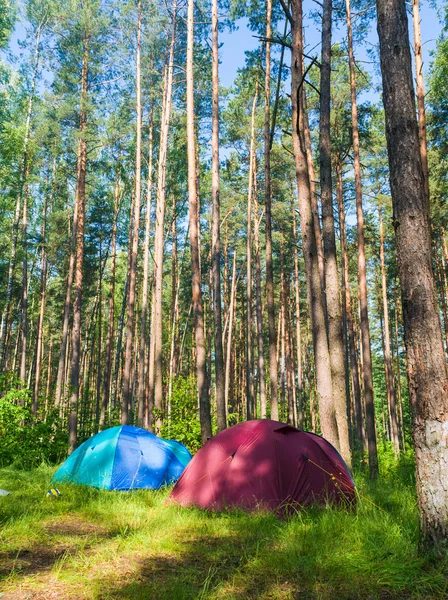 stock image Camping in the forest