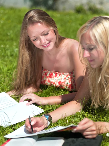 stock image Study outdoors