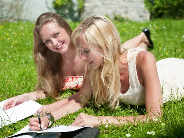 stock image Study outdoors