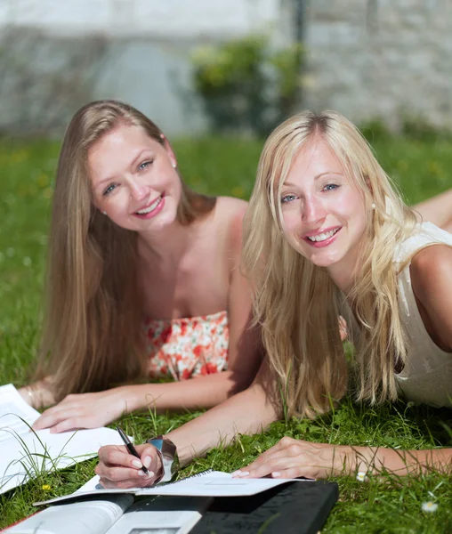 stock image Study outdoors