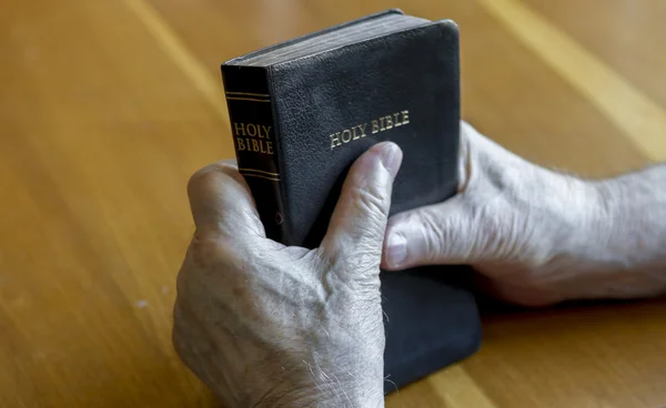 Tenere la Bibbia — Foto Stock