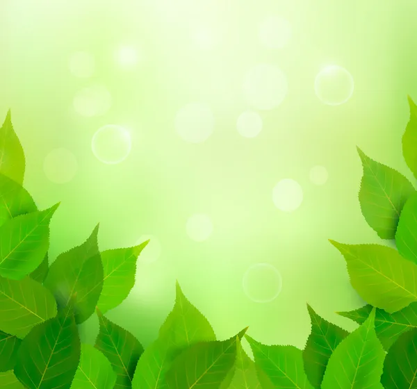 Natur bakgrund med färska gröna blad vektor illustration — Stock vektor