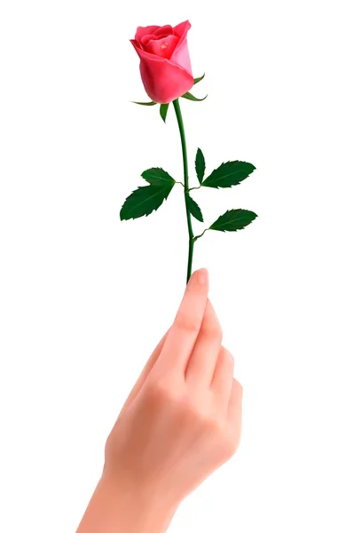 Dłoń trzymająca czerwony róża wektor — Wektor stockowy