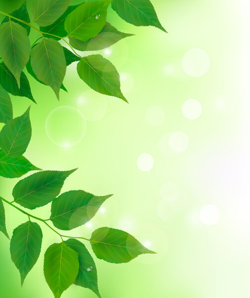 Nature background with fresh green leaves Vector illustration