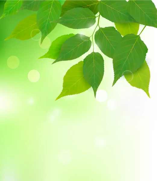 Fond naturel aux feuilles vertes fraîches Illustration vectorielle — Image vectorielle