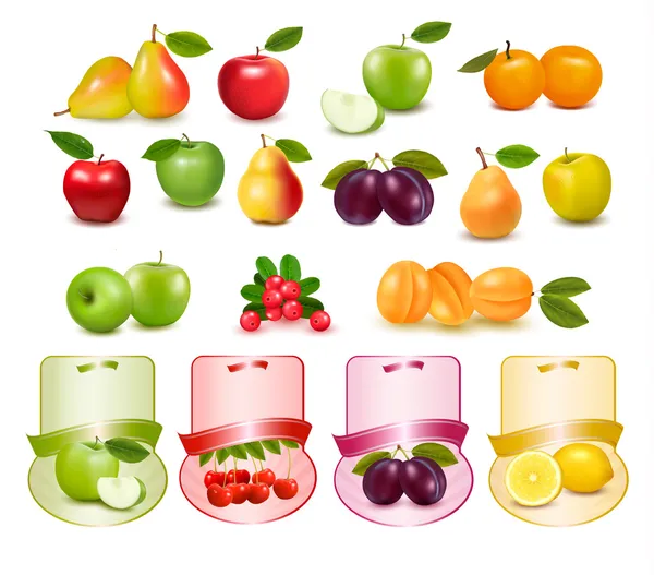 Grupp med olika sorters frukt och etiketter. — Stock vektor