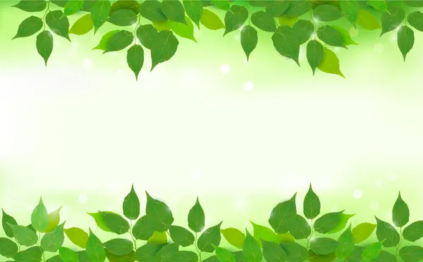 Fond naturel avec des feuilles fraîches vertes — Image vectorielle