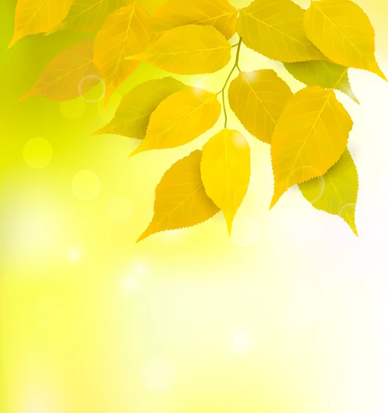 Φθινόπωρο φόντο με φύλλα — Διανυσματικό Αρχείο