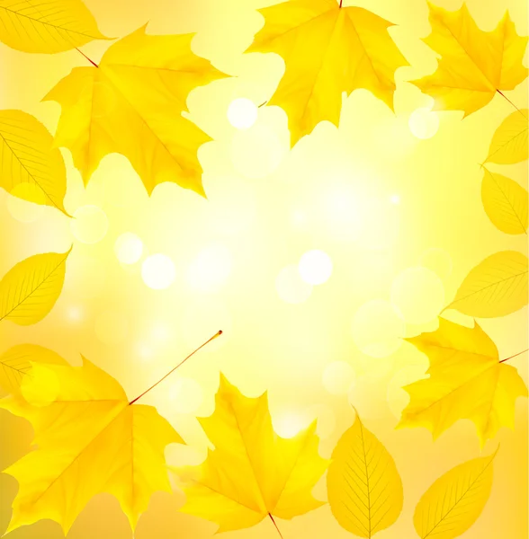 Fond d'automne avec feuilles — Image vectorielle