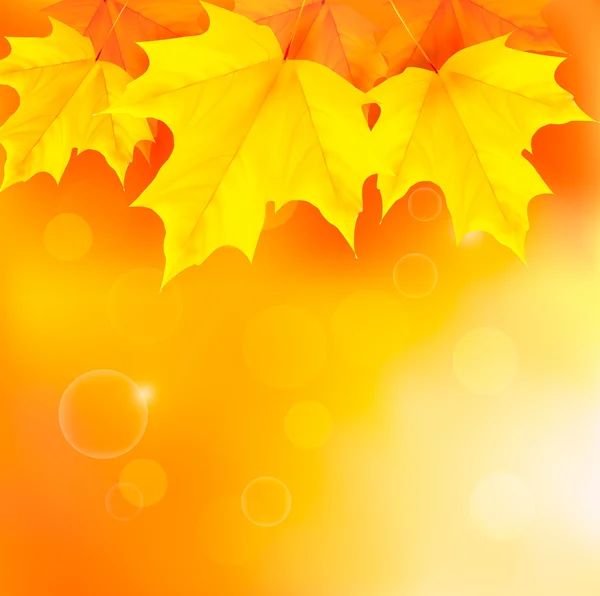 Fond d'automne avec feuilles — Image vectorielle