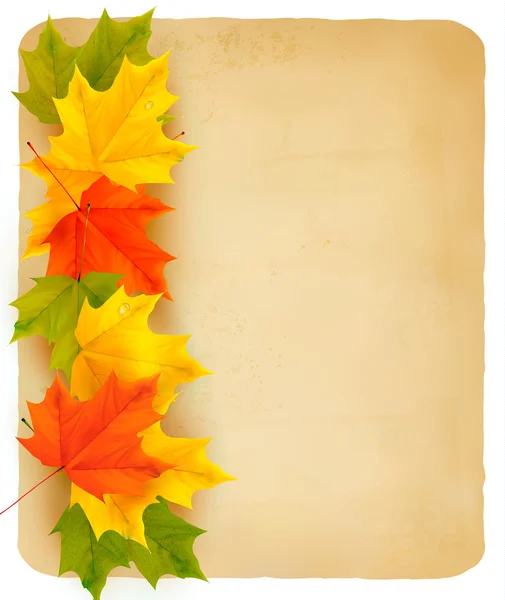 Podzimní pozadí s listy — Stockový vektor