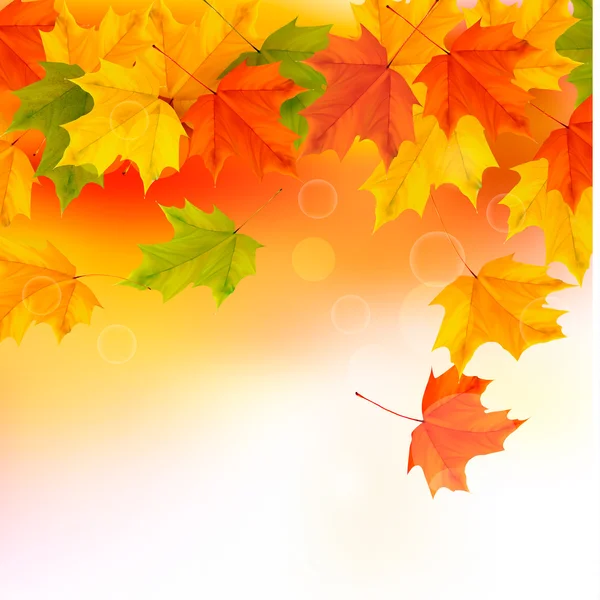Φθινόπωρο φόντο με φύλλα — Διανυσματικό Αρχείο