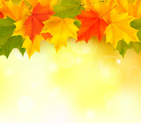 Осенний фон с листьями — стоковый вектор
