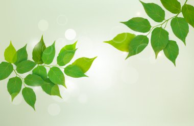 Nature background with green fresh leaves clipart