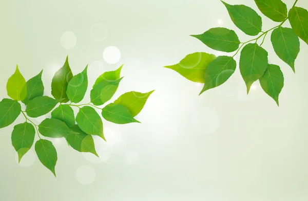 緑の新鮮な葉を持つ自然背景 — ストックベクタ