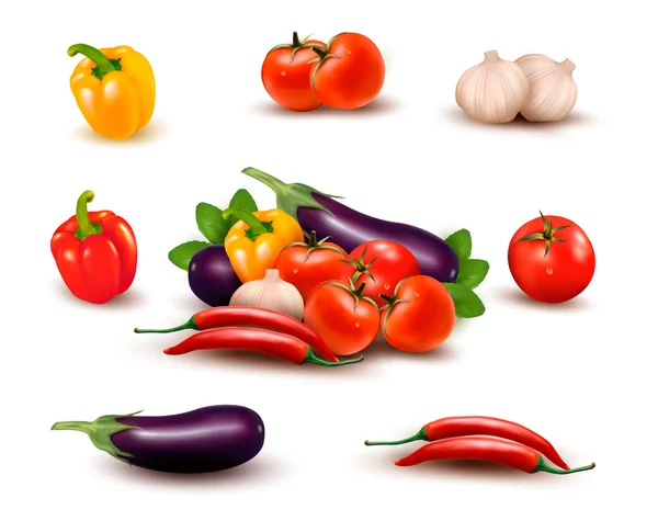 Légumes frais avec feuilles — Image vectorielle
