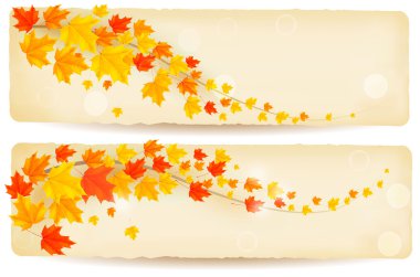 Autumn banners with leaves clipart