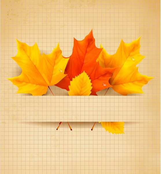 Herfst achtergrond met bladeren — Stockvector