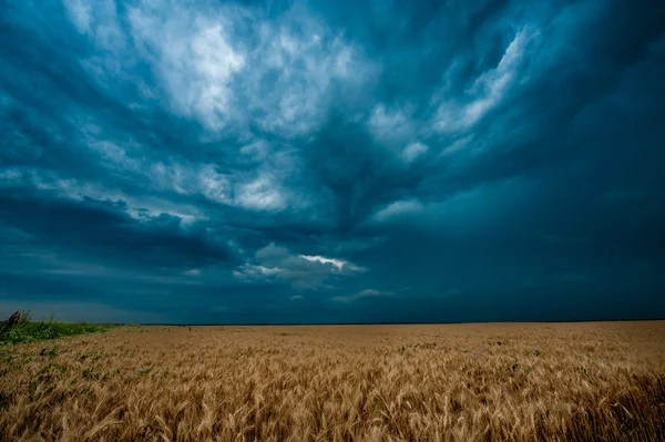 Storm dark clouds over field — Stock Photo, Image