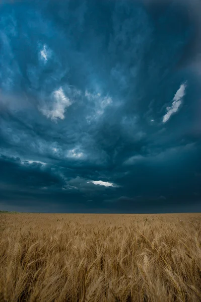 Mörka molnen över fältet — Stockfoto