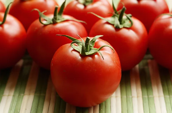 stock image Fresh tomatoes