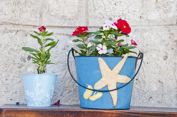 手作りの装飾的な容器で栽培された美しい花 — ストック写真