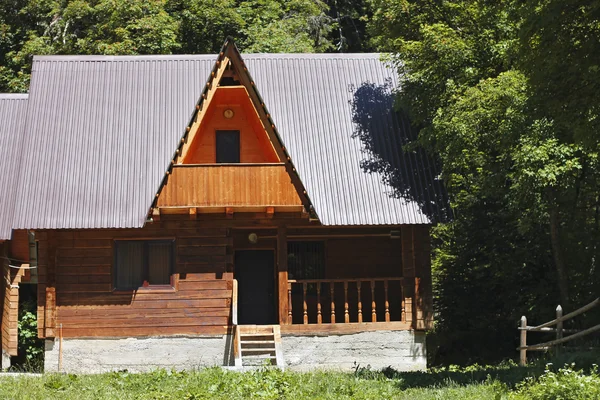 stock image House in the meddle of the forest