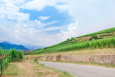 Alsace şarap rotası, Fransa