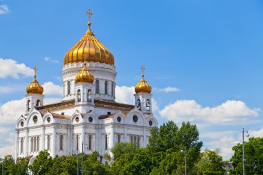 The Cathedral of Christ the Saviour, Moscow clipart