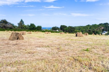Straw stack in field clipart