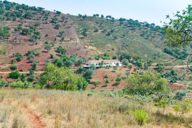 dağlarda ülke farm