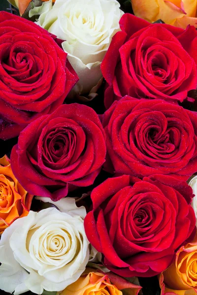 Buquê de rosas — Fotografia de Stock