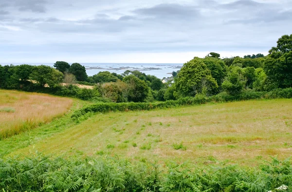 Litet land fält i Bretagne — Stockfoto