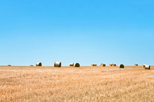 Straw field — Stock Photo, Image
