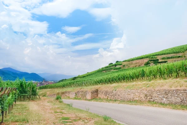 Alsace Wine Route , France — Stock Photo, Image