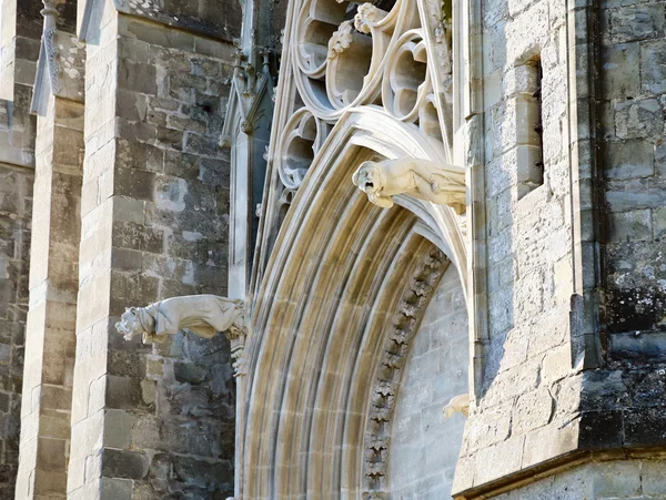 Carcassonne Katedrali, Fransa — Stok fotoğraf