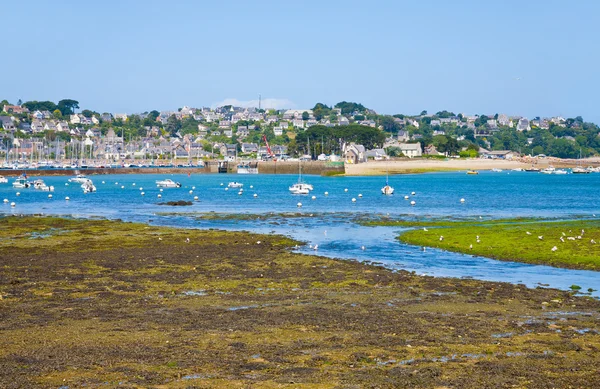 Ebb d'eau de marée en Bretagne — Photo