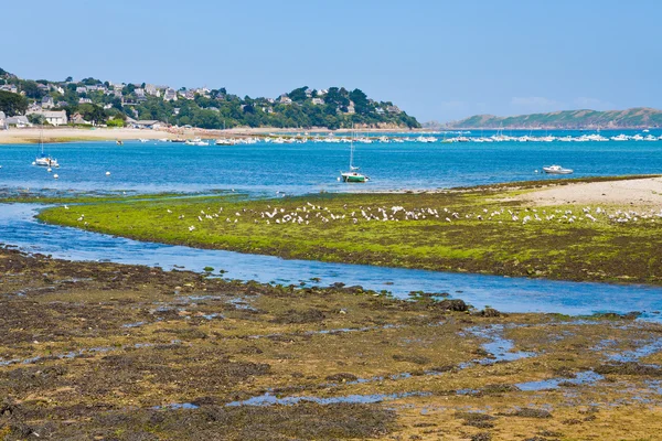 Ebb tide vatten i Bretagne — Stockfoto