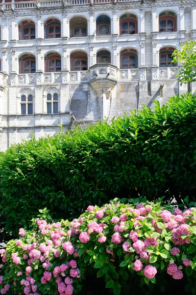 法国布洛瓦市宫 — 图库照片